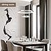CHYING Modern LED Pendant Light with Acrylic Shade 2-Ring 30W Cool White 6500K Ceiling Light 2400LM Chandelier Adjustable Hanging Light Fixture for Kitchen Island Living Dining Room Restaurant