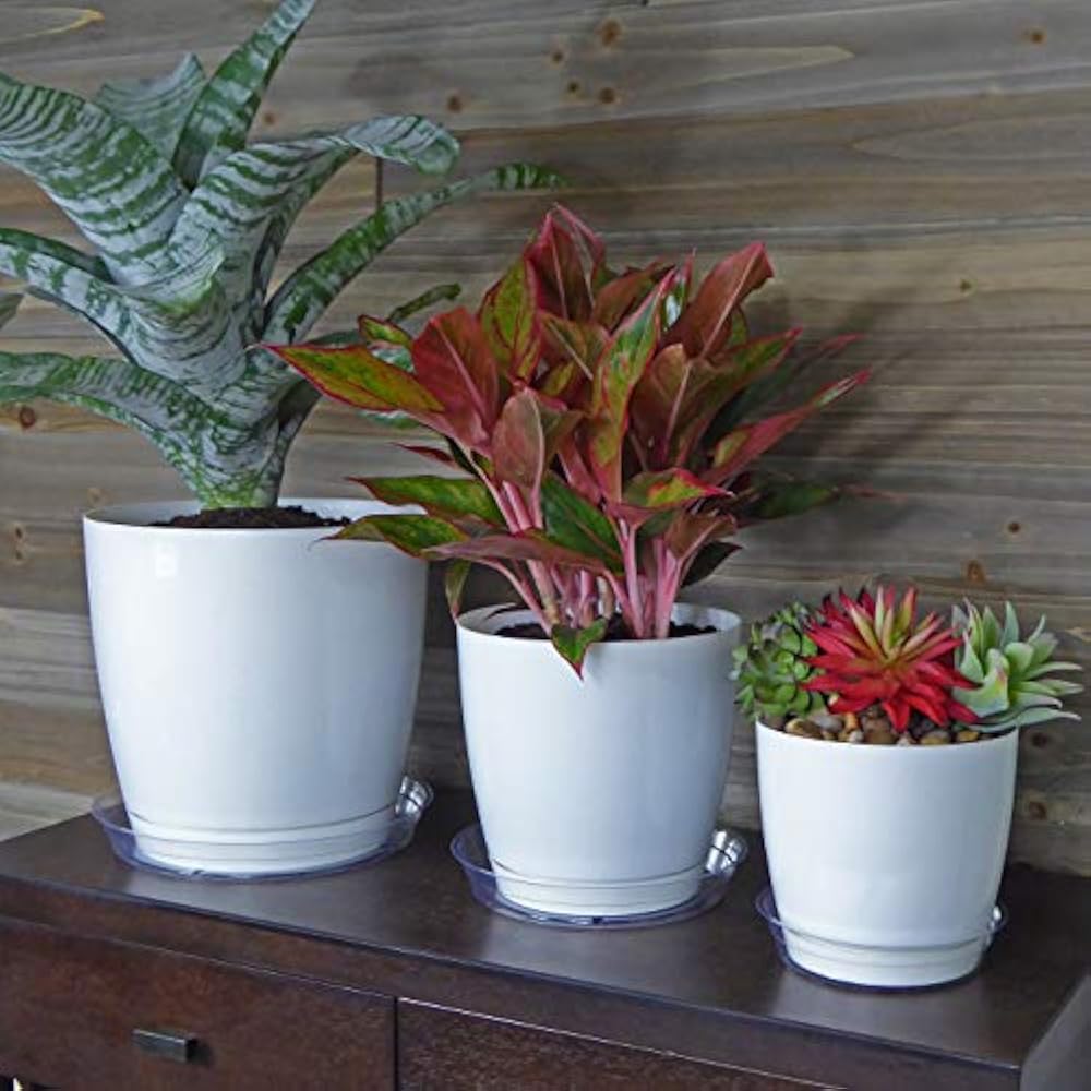 Clear Plant Saucer Drip Trays In Assorted Sizes For Large To Small Pots