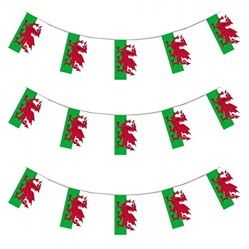 Wales Flag Welsh String Flags Banner 33ft Decoration Buy Online