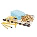 Geoworld Paleo Expedition Ice Age Excavation Kit-Ursus Spelaeus