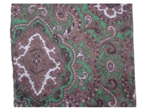 Paisley Silk Scarf 34.5" Green/Chocolate