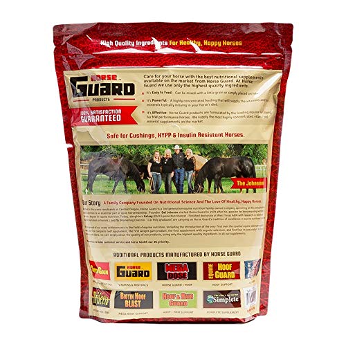 Flix 9 lb, 100 Flaxseed Healthy Treats for Horses, High in Omega3