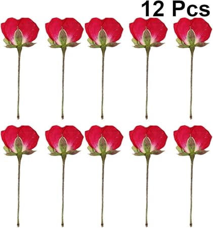 Amazon Exceart 12ピース乾燥中国のバラの花押花ジュエリーネイルアート花ステッカーdiyクラフトフォトフレームマニキュアフェスティバル化粧装飾 Exceart ネイルアートツール 通販 Amazon Exceart 12ピース乾燥中国のバラの花押花ジュエリーネイルアート花ステッカーdiyクラフトフォトフレームマニキュアフェスティバル化粧装飾 Exceart ネイルアートツール 通販