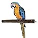 Mrlipet Bird Perch, Natural Wood Bird Perches Stand Toy for Medium and Large Parrots Macaw African Greys Budgies Parakeets Cockatiels Conures Amazons Bird Cage Accessories (Apple Branches)