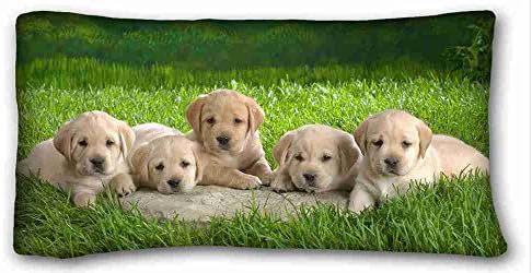 Generic Personalized ( Animals labradors puppiess grass family ) Pillow Covers Bedding Accessories Size 20"X36" suitable for Queen-bed PC-Bluish-17382