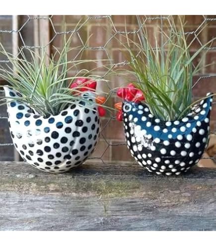 Amazon.com: ccsxqy Hens and Chicks Planter Pot Set of 2 - Whimsical Animal  Planters for Outdoor Plants, Chicken Flower Pot with Drainage &  Weather-Resistant Design, Farmhouse Garden Decor for Succulents : Patio,