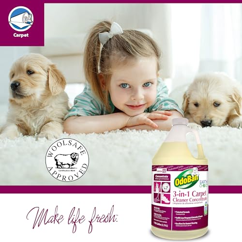 OdoBan Professional 3-in-1 Carpet Cleaner Concentrate, Made in the USA, 1 Gallon photo 7
