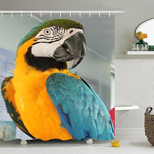 Creative Cute Parrot Birds and Zebra Polyester Waterproof Shower Curtain-Bathroom Accessories Kitchen 66x72