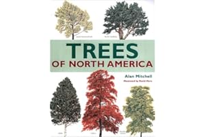 Trees of North America