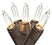 Northlight Mini Christmas Lights with Brown Wire, Clear, Set of 35