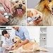 Dog Nail Clippers and Trimmer - Razor Sharp Blades, Safety Guard to Avoid Overcutting, Free Nail File - Start Professional & Safe Pet Grooming at Home (Blue Large)