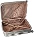 Delsey Luggage Bastille Lite 25 inch 4 Wheel Spinner, Pearl Grey