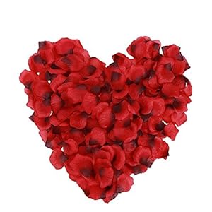 Jeffica Pétalos de Rosa 3000pcs Pétalos de Rosa en Seda para Bodas Confeti Petalos Artificiales (Rojo)