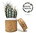 SheCotton Bamboo Cotton Swabs | Natural 100% Biodegradable and Recyclable Buds for Ears | Double Tipped Wooden Makeup Cotton Swabs (200 ct) (Blue)