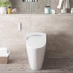 Ove Decors Yosemite Bidet Toilet Built-in with Tank