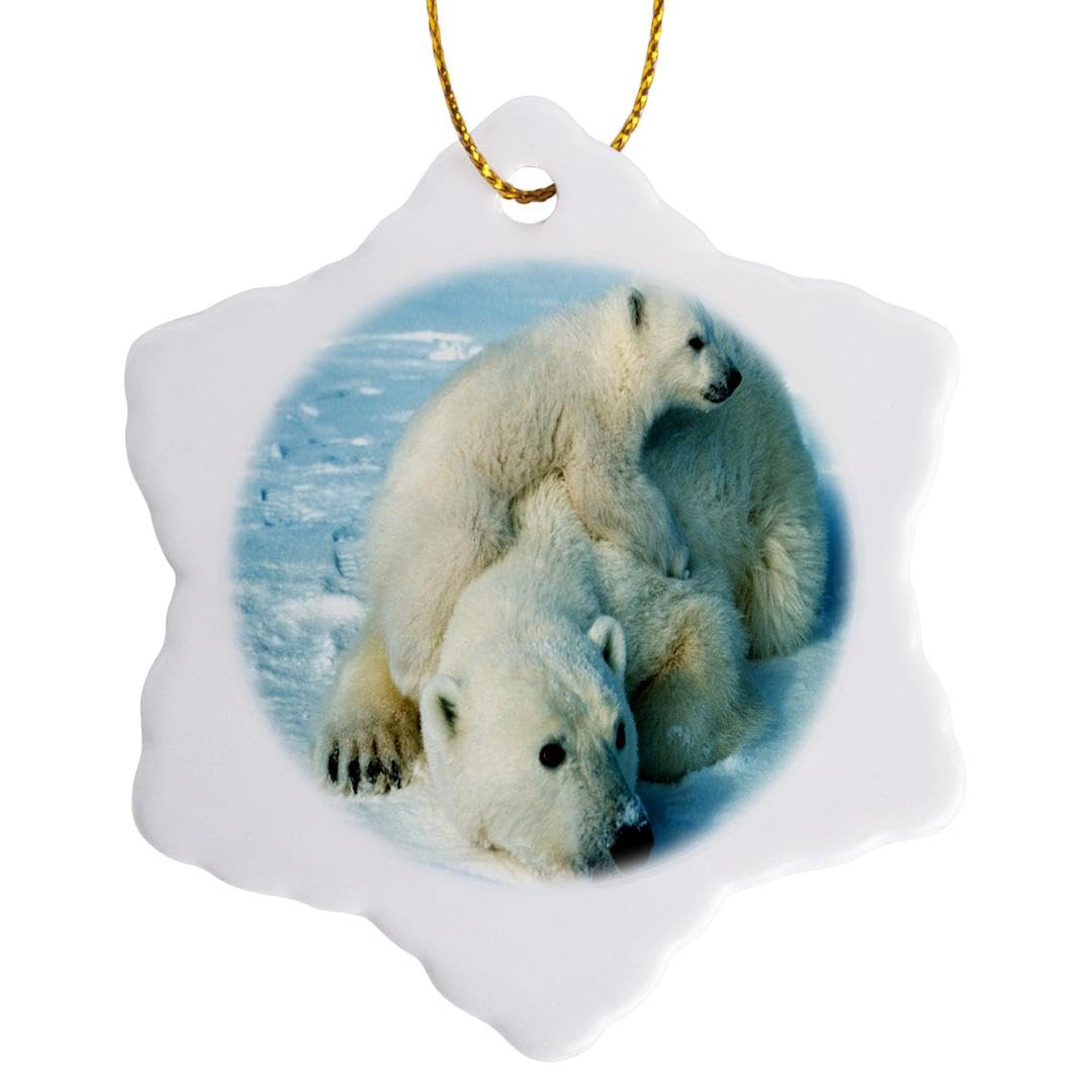 3dRose Playful Polar Bear N Her Mom, Jpg Snowflake Ornament, Multi-Colour, 3-Inch