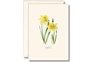Earth Sky + Water - Daffodils Notecard Set - 8 Blank Cards with Envelopes