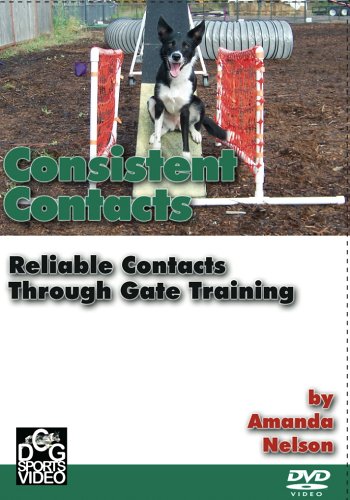 centipede remote control toy