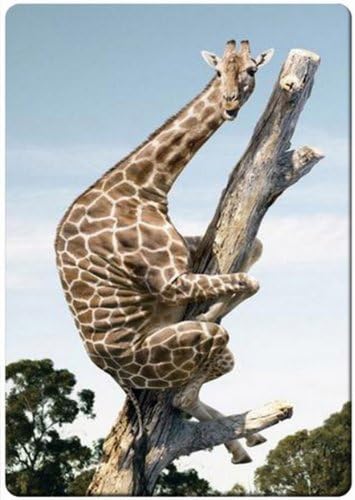 Funny giraffe on the dead tree fridge magnet