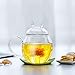 Glass Tea Cup with Glass Tea Infuser Strainer,Cat Coffee Mugs,Teapot Funny Tea Maker for Loose Leaf Flower,Coffee