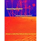 Neural Organization: Structure, Function, and Dynamics