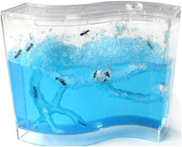 Focal20 Random Color Ant Maze Ant Works Castle Experiment Ant House