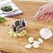 LoveQmall Kitchen Gadgets--Stainless Steel Mini Roller Household Manual Pasta Spaghetti Machines Multipurpose Noodle Roller Cutter Kitchen Cooking Tools (1)