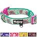 Blueberry Pet Soft & Comfy Paisley Flower Dog Collar, Neoprene Padded, Emerald Green, Large, Neck 18-26, Dog Collars for Medium Dogs, Dog Collar for Large Dogs, Matching Leash & Harness