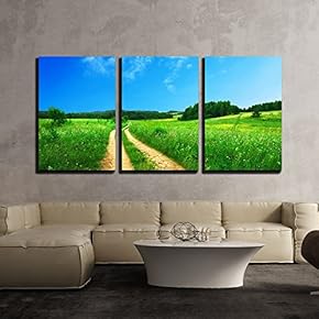 3 Piece Canvas Wall Art - Countryside Roads Through Green Fields Under The Blue Sky - Modern Home Art Stretched and Framed Ready to Hang - 16"x24"x3 Panels
