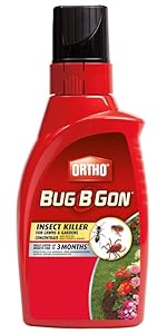 Ant Killer, Roach Killer, Cockroach Killer, Bug Killer, Insect Killer, Beetle Killer, Spider Killer