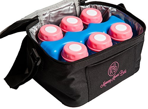 Breastmilk Cooler Bag Set for Nursing Mothers - Includes Baby Bottle Cooler Tote, (6) 5 oz Breast Milk Bottles, (6) Solid Lids, Contoured Ice Pack for Insulated Storage - Pink