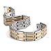 Rainso New Mens 316l Stainless Steel Magnetic Therapy Bracelet in Gift Bag with Free Link Removal Tool