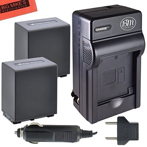 BM 2-Pack of NP-FV100 Batteries and Charger for Sony HDR-CX455 CX675 CX260 CX290 CX330 CX380 CX430V CX580V CX760V CX900 PJ430V PJ540 PJ580V PJ650V PJ670 PJ710V PJ760V PV790V PJ810 FDR-AX33 AX53 AX100
