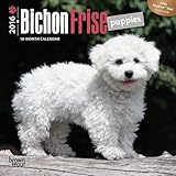 Bichon Frise Puppies 2016 Mini 7x7 (Multilingual Edition)
