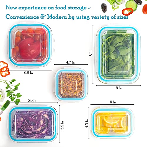 Moss & Stone Kitchen Glass Food Storage Containers Set with Lids 10 Pcs