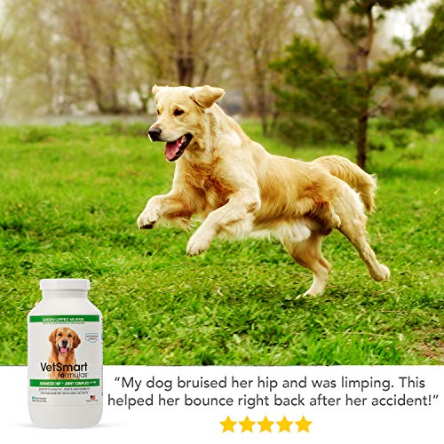 VetSmart Formulas Advanced Hip + Joint Complex with Green-lipped Mussel - Veterinarian Strength Dog Joint Pain Relief - 3 Bottle Pack - Thumbnail 6