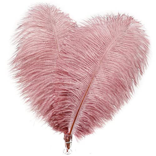 Soarer Pink Craft Ostrich Feathers - 30pcs 8-10 inches for Christmas Tree Decorations, Thanksgiving Craft,Feather Mask,Hat(Lotus Pink)