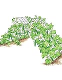 Deluxe Cucumber Trellis