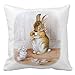 Generic Decorative Cotton 18 X 18 Twin Sides Beatrix Potter: Bunny Girl Drinking Tea Throw Pillowcases
