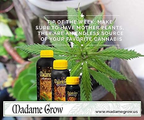 Madame Grow / Abono o fertilizante orgánico para Marihuana o ...