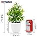 OFFIDIX Potted Artificial Plastic Plants,Mini Faux Plant with White Pots Plant Decorations Indoor Fake Desk Plant for Home and Office Desktop Decor 1pc