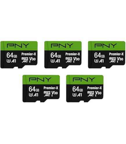 Lerdisk Kit da 10 Schede Micro SD 64GB Classe 10 U3 V30 A1 | Video 4K Ultra HD per Droni, Dashcam & Smartphone Android | Impermeabile IP65
