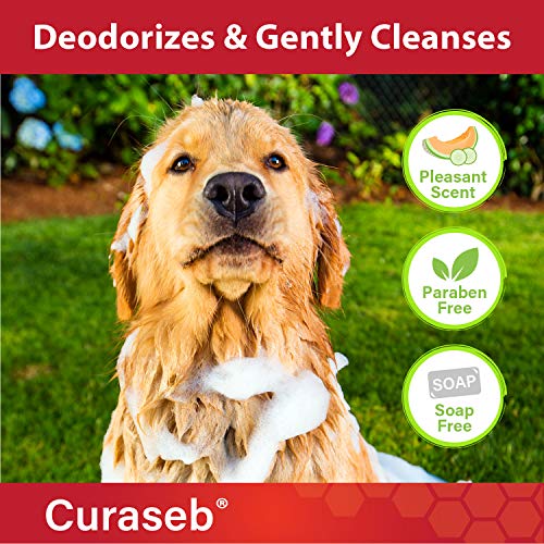 Curaseb Medicated Shampoo for Dog & Cats Treats Skin Infections & Hot