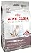 Royal Canin Indoor Long Hair Adult Dry Cat Food, 3 lb bag