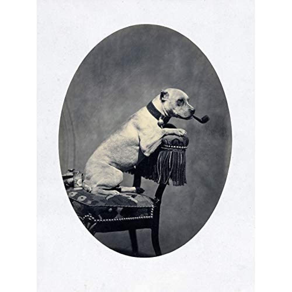 Artery8 Tournachon Dog Smoking Pipe Funny Vintage Photo Art Print Canvas Premium Wall Decor Poster Mural