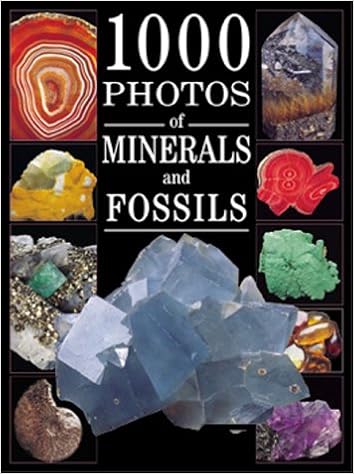 1000 Photos Of Minerals And Fossils 1000 Photos Series Eid Alain Viard Michel Amazon Com Books