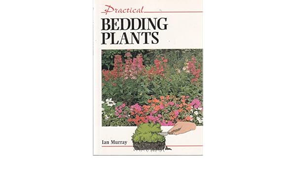 Practical Bedding Plants Ian Murray 9781852237806 Amazon - 