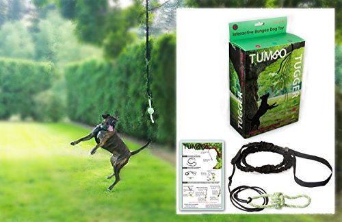 Tumbo Tugger Outdoor Hanging Doggie Bungee Rope Toy, Large