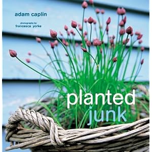 Planted Junk