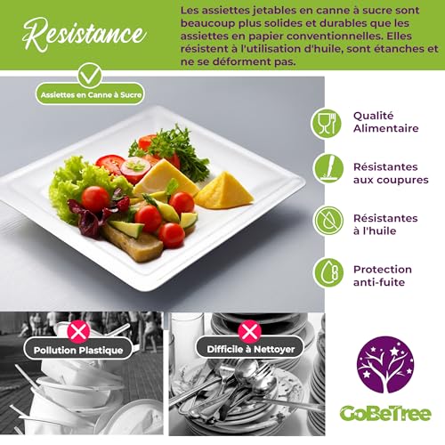 GoBeTree 100 x 26cm White Sugarcane Square Disposable Paper Plates Extra Durable Disposable Paper Plates for Camping, Picnics, Parties, BBQs, Birthdays